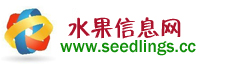 www.seedlings.cc
